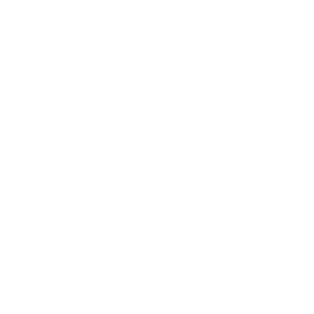121 Objetivos